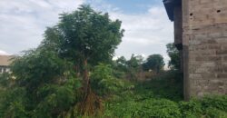 A storey Building of 20 Units of room selfcon for sale and Extra plot of land