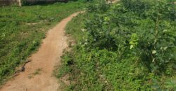 Uncompleted 18 rooms selfcon for sale on 4plot of land