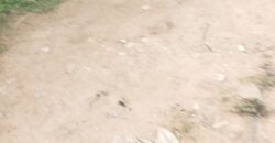 2plots of Land available At westend Kwasu