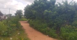 4plots of Land for sale in Kwasu along Okoru road