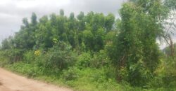 2plots of Land Availaible around Amina Villa (Kwasu)