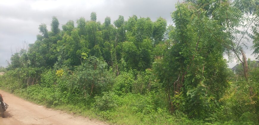 2plots of Land Availaible around Amina Villa (Kwasu)