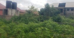 2plots of Land for sale at Kwasu with foundation