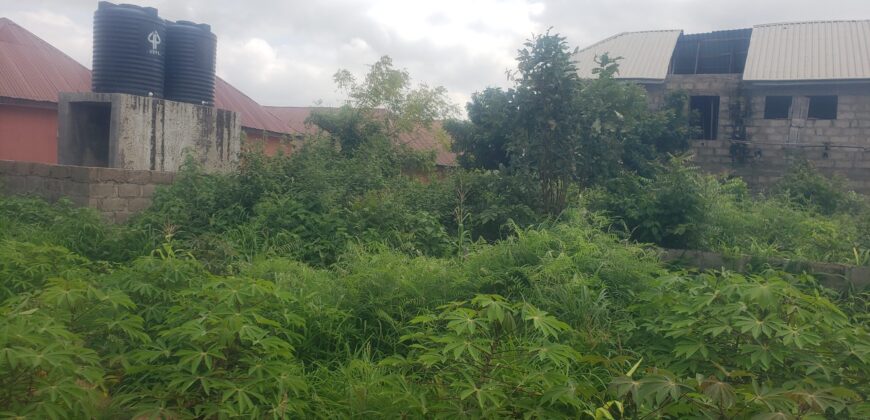 2plots of Land for sale at Kwasu with foundation