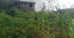 2plots of Land for sale at Kwasu with foundation