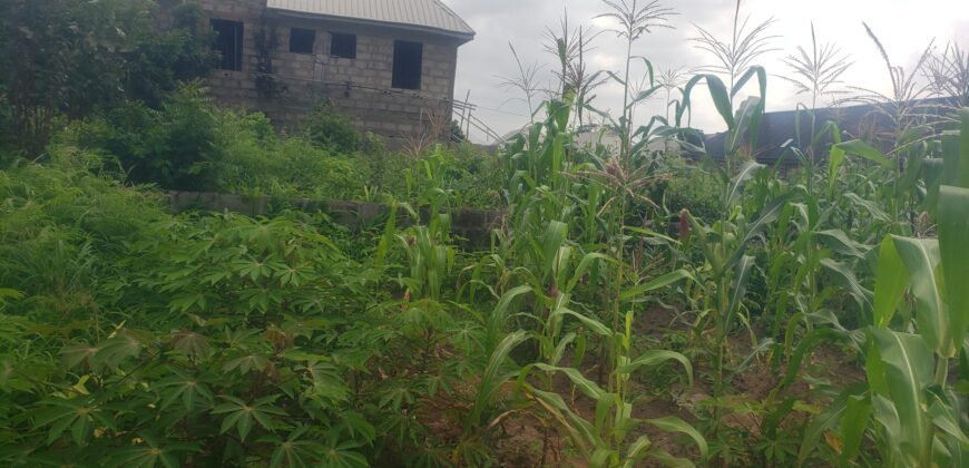 2plots of Land for sale at Kwasu with foundation