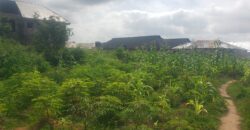 2plots of Land for sale at Kwasu with foundation