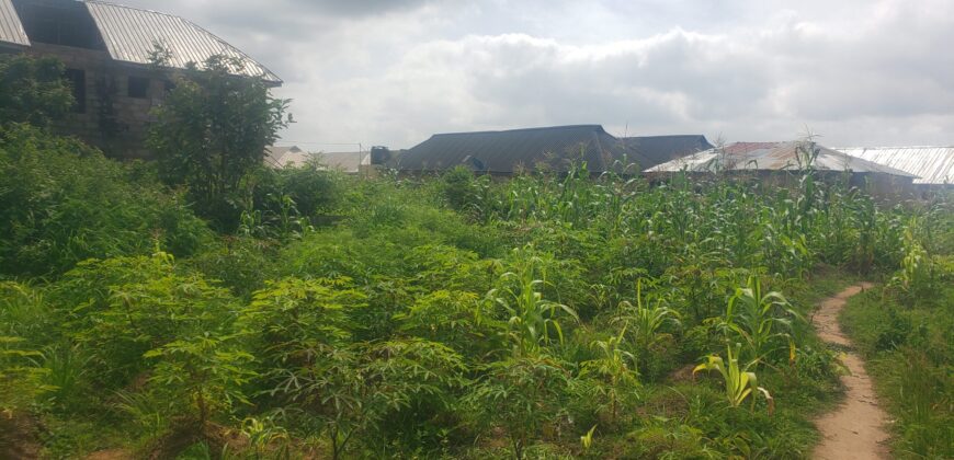 2plots of Land for sale at Kwasu with foundation