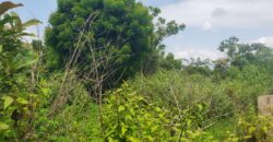 A plot of Land Available at Millionaire area