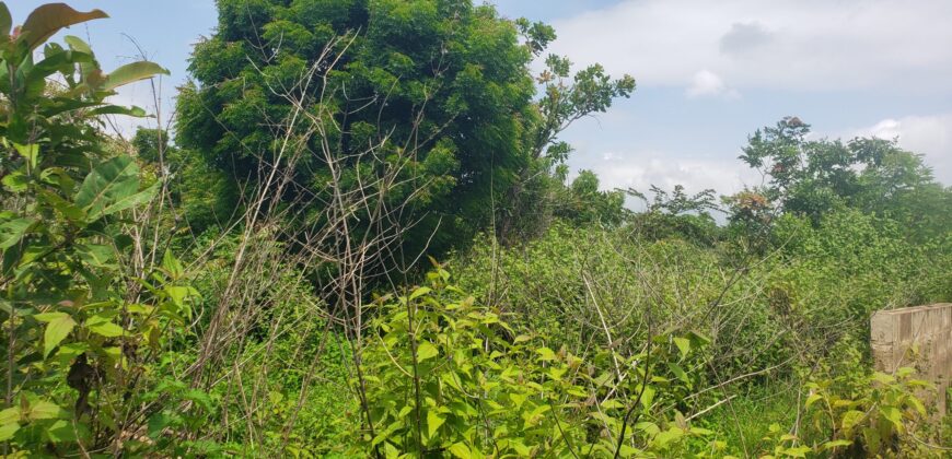 A plot of Land Available at Millionaire area