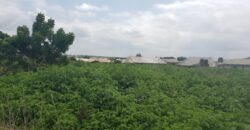 8 Plots of Land for Sale at Lambo with C of O