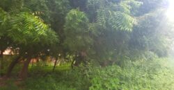 3 Plots of Land for Sale At Lambo Area (Kwasu)