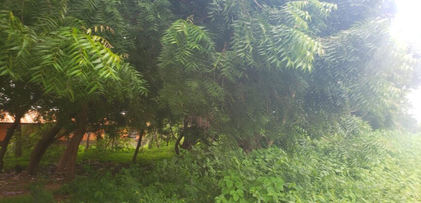 3 Plots of Land for Sale At Lambo Area (Kwasu)