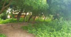 3 Plots of Land for Sale At Lambo Area (Kwasu)