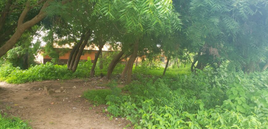 3 Plots of Land for Sale At Lambo Area (Kwasu)