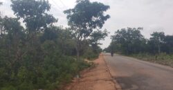 Affordable legit land available for sale in Kwasu