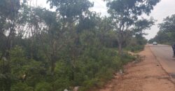 Affordable legit land available for sale in Kwasu