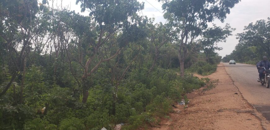 Affordable legit land available for sale in Kwasu