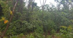 Affordable legit land available for sale in Kwasu