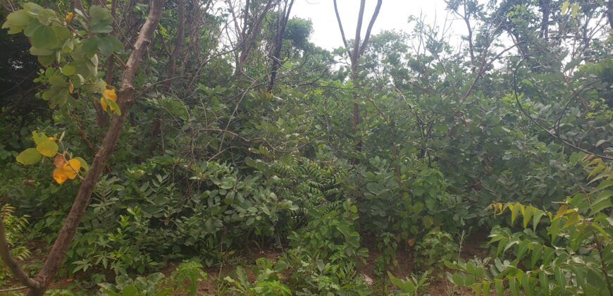 Affordable legit land available for sale in Kwasu