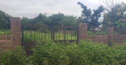2 plots of land Available at Malete with Fence and Gate