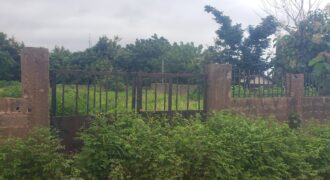 2 plots of land Available at Malete with Fence and Gate