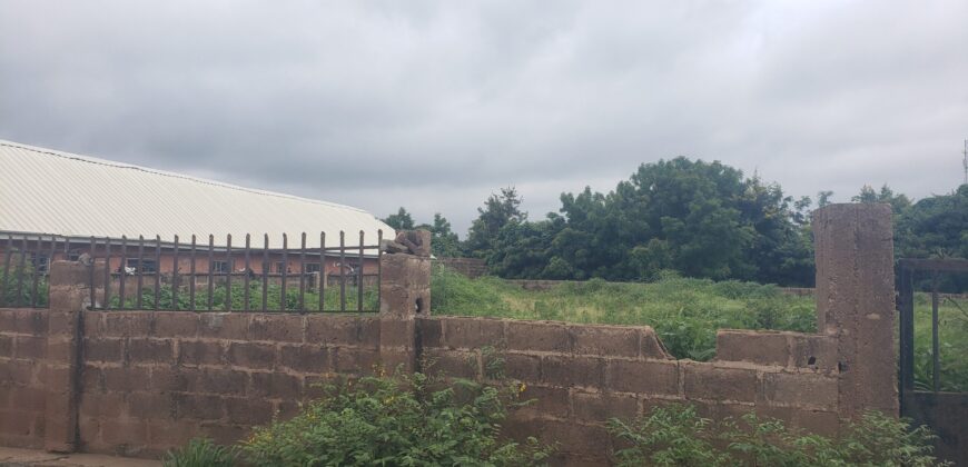 2 plots of land Available at Malete with Fence and Gate
