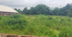 2 plots of land Available at Malete with Fence and Gate