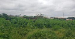 1 and half plot for sale around Tamack/Westend Kwasu Malete