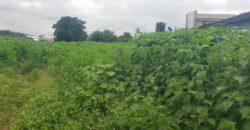 1 and half plot for sale around Tamack/Westend Kwasu Malete