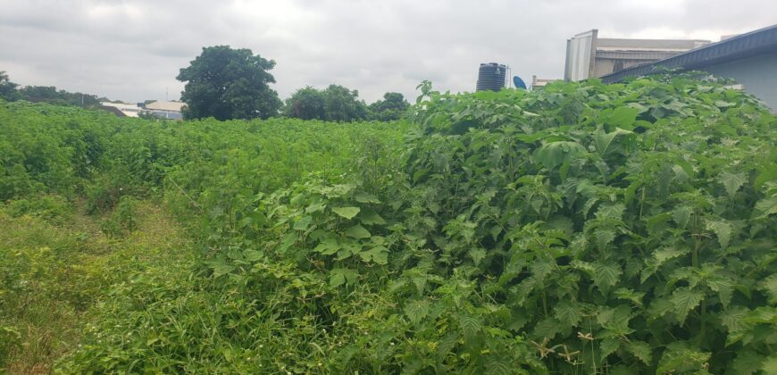 1 and half plot for sale around Tamack/Westend Kwasu Malete